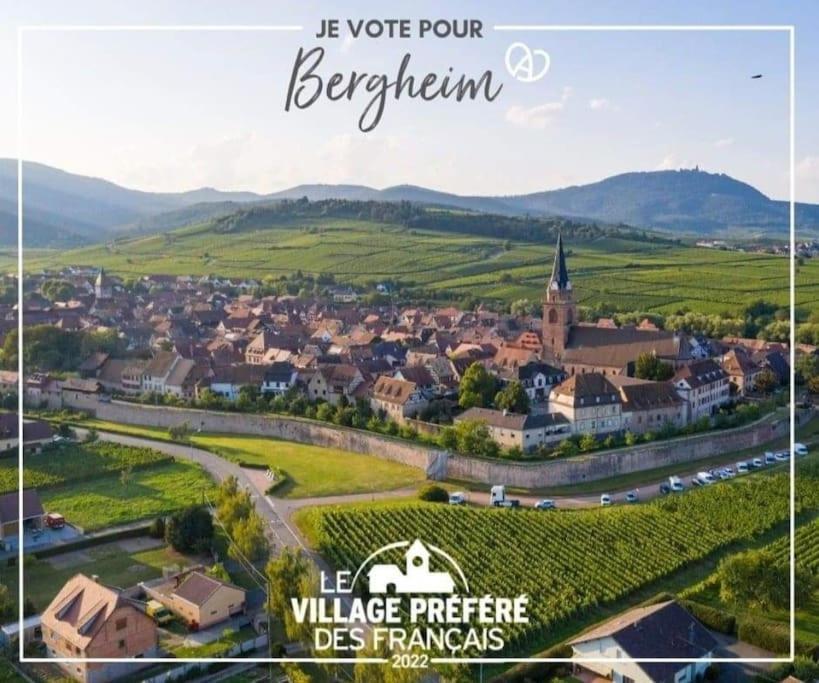 Gite Boniface Pour 2 Pers Бергхейм Экстерьер фото